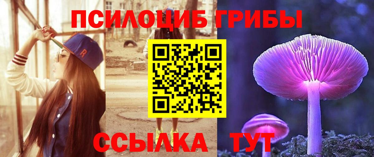 Балашиха  Псилоцибиновые грибы мухоморы  Вход с VPN  Галлюциногенные грибы Cubensis 